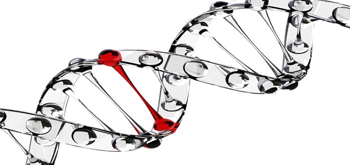 oncogene mesothelioma