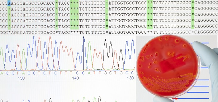 gene sequence mesothelioma