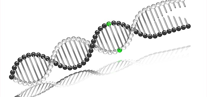 Some Biomarkers Are Better for Mesothelioma Diagnosis