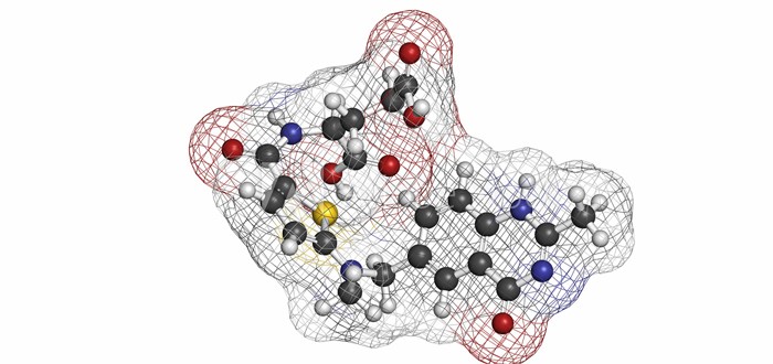 Mesothelioma Drug CRS-207 Looks Promising