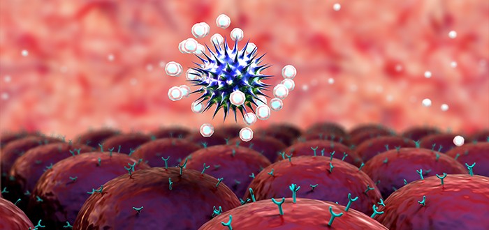 Mesothelioma Vaccine Causes Immune System to Attack WT1 Antigen