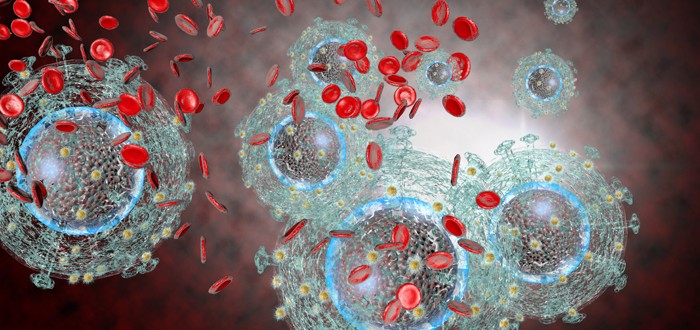 Goal of Killing Mesothelioma with Viruses Takes Big Step Forward