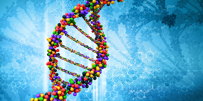 Customizing Mesothelioma Treatments Based on Genetics